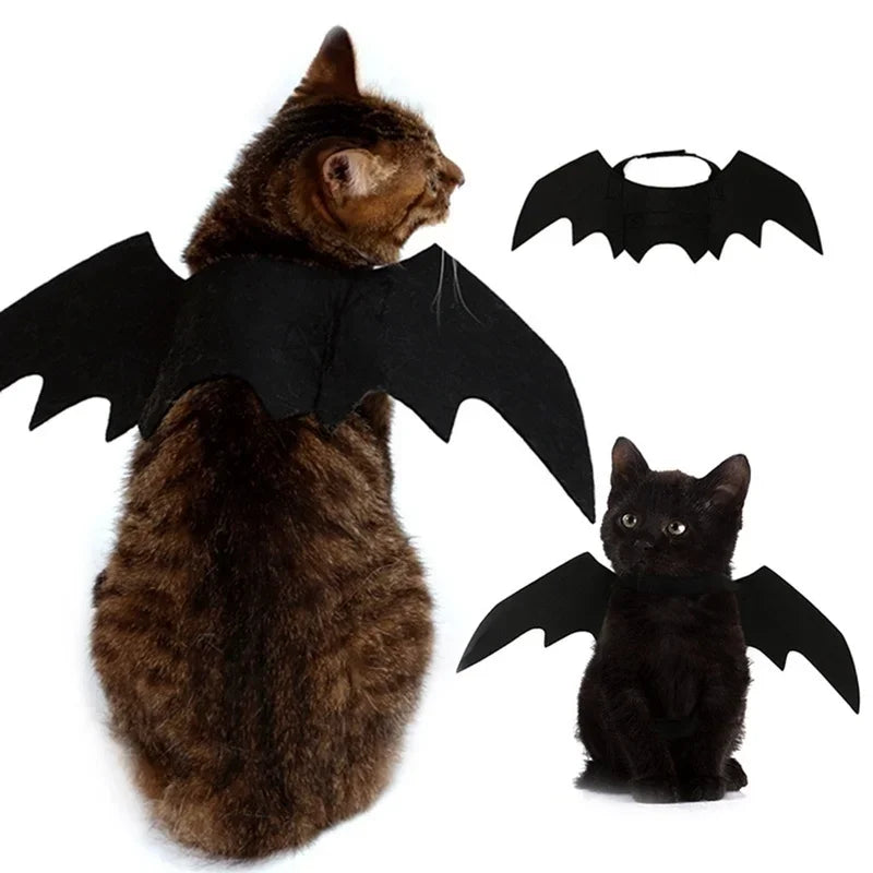 Cute Black Bat Wings Pet Costume for Halloween - Blue Iris Small