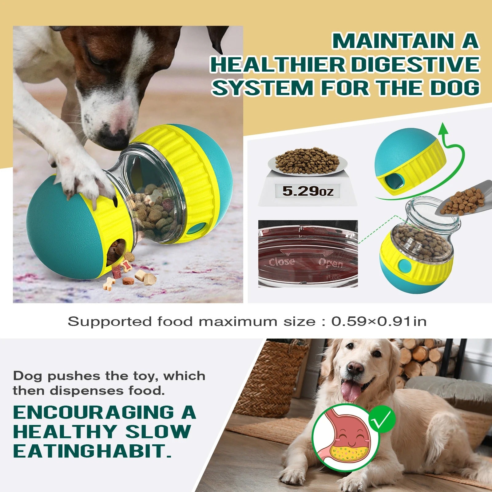 Interactive Ball Training Chew Toy - Blue Iris Red