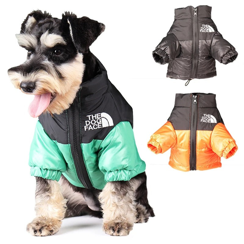 Dog Face Winter Coat - Blue Iris Orange / XS