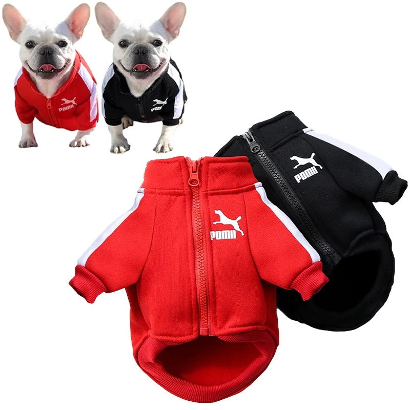 Dog Sports Jacket for Winter and Summer - Blue Iris Red / S