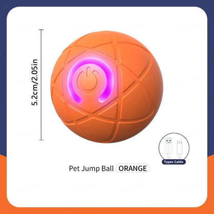 Interactive Pet Jump Ball