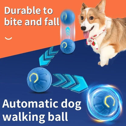 Interactive Pet Jump Ball